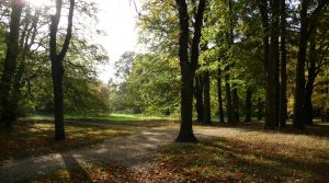 Herbstsonne im Schlosspark